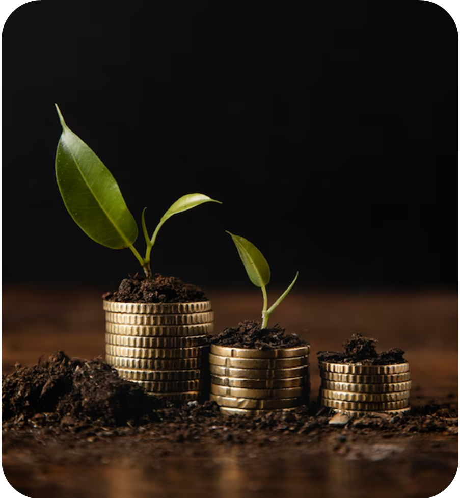 Fundraising Growth